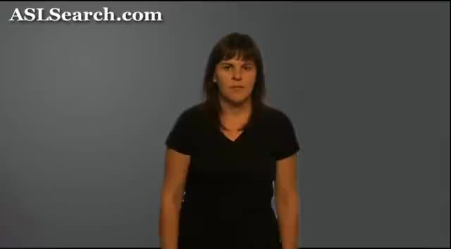 American Sign Language ASL Video Dictionary Wash   Wash 