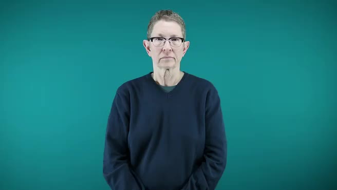 American Sign Language ASL Video Dictionary - eighty four