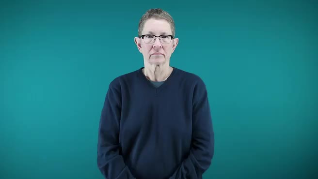 American Sign Language ASL Video Dictionary - 56