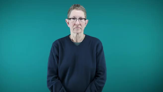 American Sign Language ASL Video Dictionary - 47