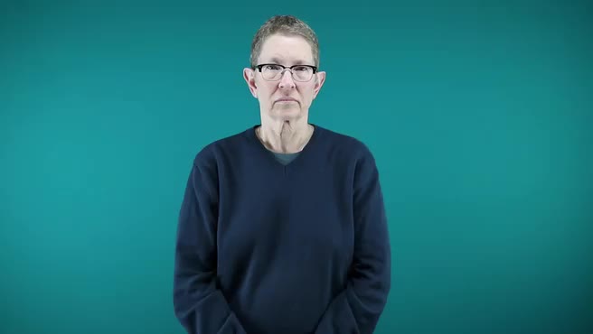 American Sign Language ASL Video Dictionary - 42