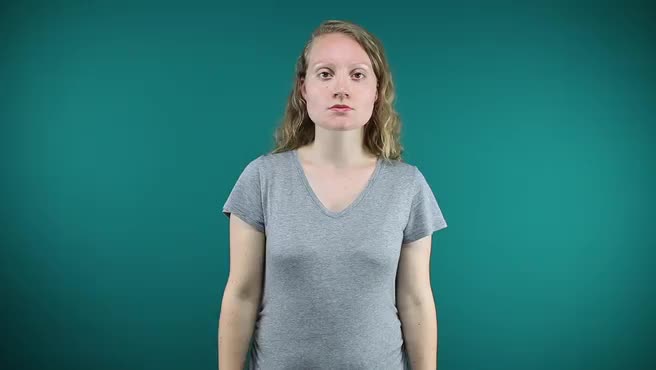 American Sign Language ASL Video Dictionary - amber