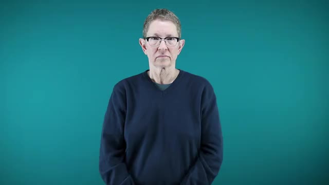 American Sign Language ASL Video Dictionary - 1 hour