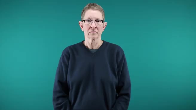 American Sign Language ASL Video Dictionary Single american-sign-language-asl-video-dictionary-single