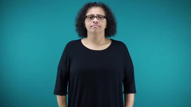 American Sign Language ASL Video Dictionary - accuracy