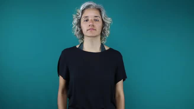 American Sign Language ASL Video Dictionary - 7th