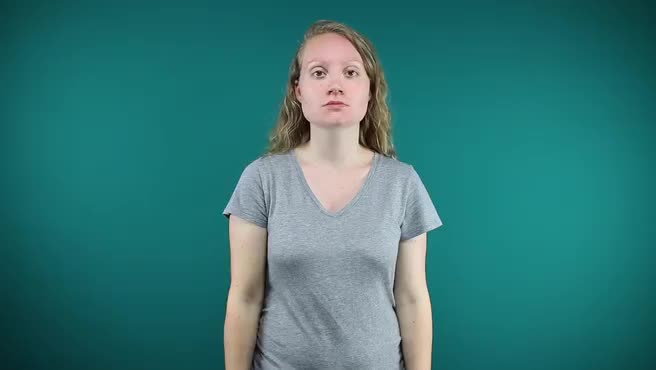 American Sign Language ASL Video Dictionary - ah