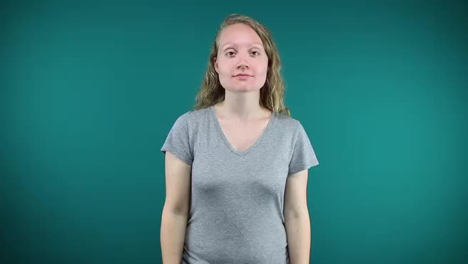 American Sign Language ASL Video Dictionary - ahh