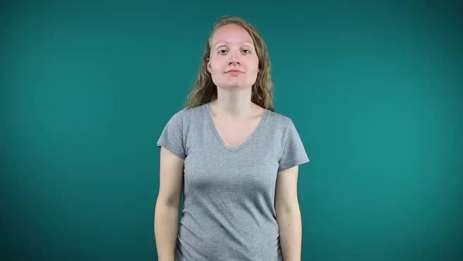 American Sign Language ASL Video Dictionary - I didnt mean to