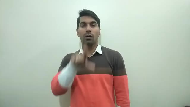 American Sign Language ASL Video Dictionary - hummingbird