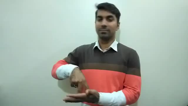 Idiot Sign Language American Sign Language ASL Video Dictionary - idiotic
