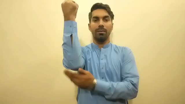 American Sign Language ASL Video Dictionary - work stoppage