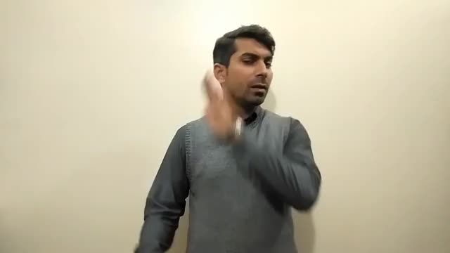American Sign Language ASL Video Dictionary - tinnitus