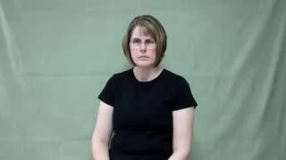 American Sign Language ASL Video Dictionary - sunny