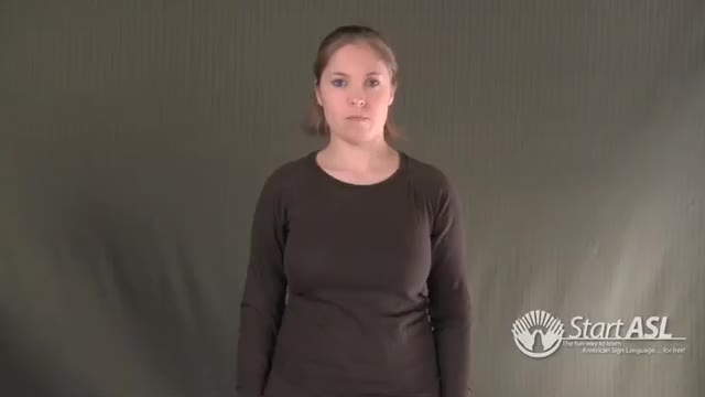 American Sign Language ASL Video Dictionary - can you please sign that ...