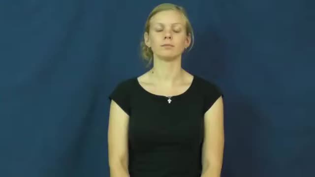 American Sign Language ASL Video Dictionary - mayhem