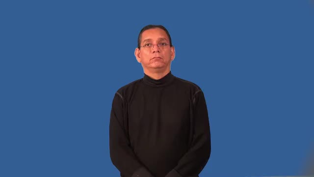 American Sign Language ASL Video Dictionary - pun