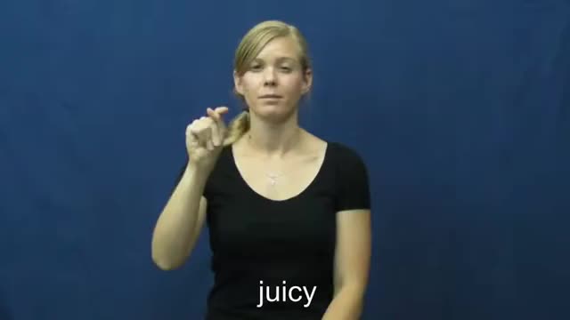 American Sign Language ASL Video Dictionary - juicier