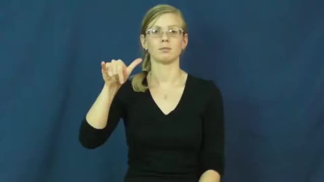 american-sign-language-asl-video-dictionary-baggy