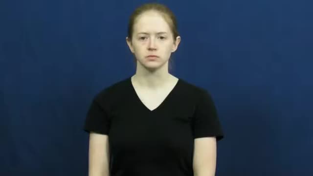 American Sign Language ASL Video Dictionary - programer