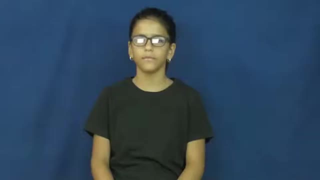 American Sign Language ASL Video Dictionary - portability