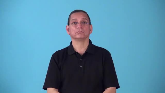 American Sign Language ASL Video Dictionary - rig