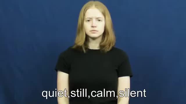 American Sign Language ASL Video Dictionary - calmer