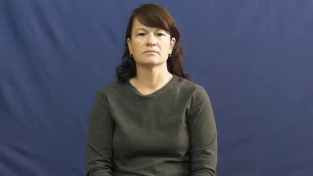 American Sign Language ASL Video Dictionary - mild