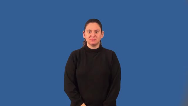 American Sign Language ASL Video Dictionary - benchmark
