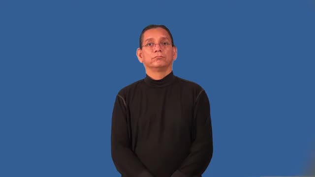 Race In Sign Language American Sign Language ASL Video Dictionary - racial
