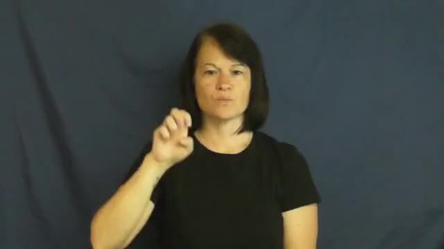 American Sign Language ASL Video Dictionary - in order for