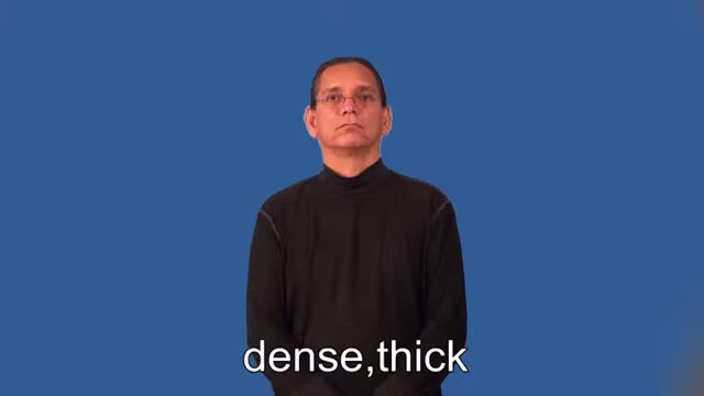 American Sign Language ASL Video Dictionary - denser