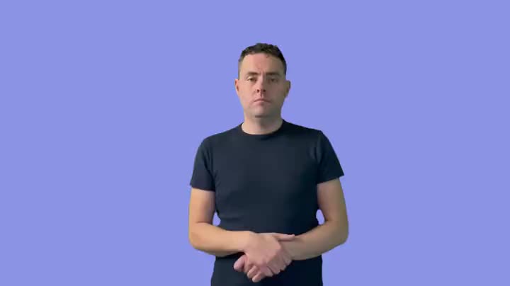 British Sign Language BSL Video Dictionary - sunburnt