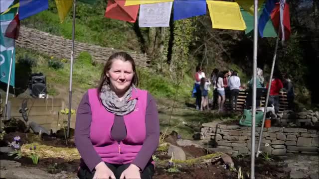 British Sign Language BSL Video Dictionary - beech tree