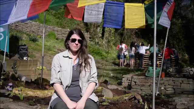 British Sign Language BSL Video Dictionary - yew tree