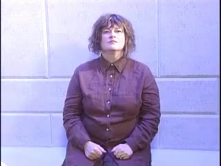 British Sign Language BSL Video Dictionary - catch up