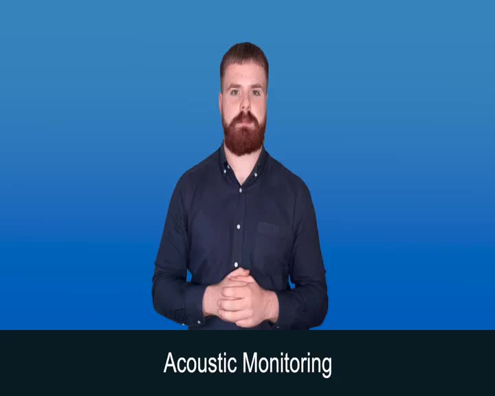 British Sign Language BSL Video Dictionary - Acoustic monitoring