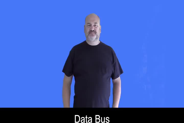 British Sign Language BSL Video Dictionary - Data bus